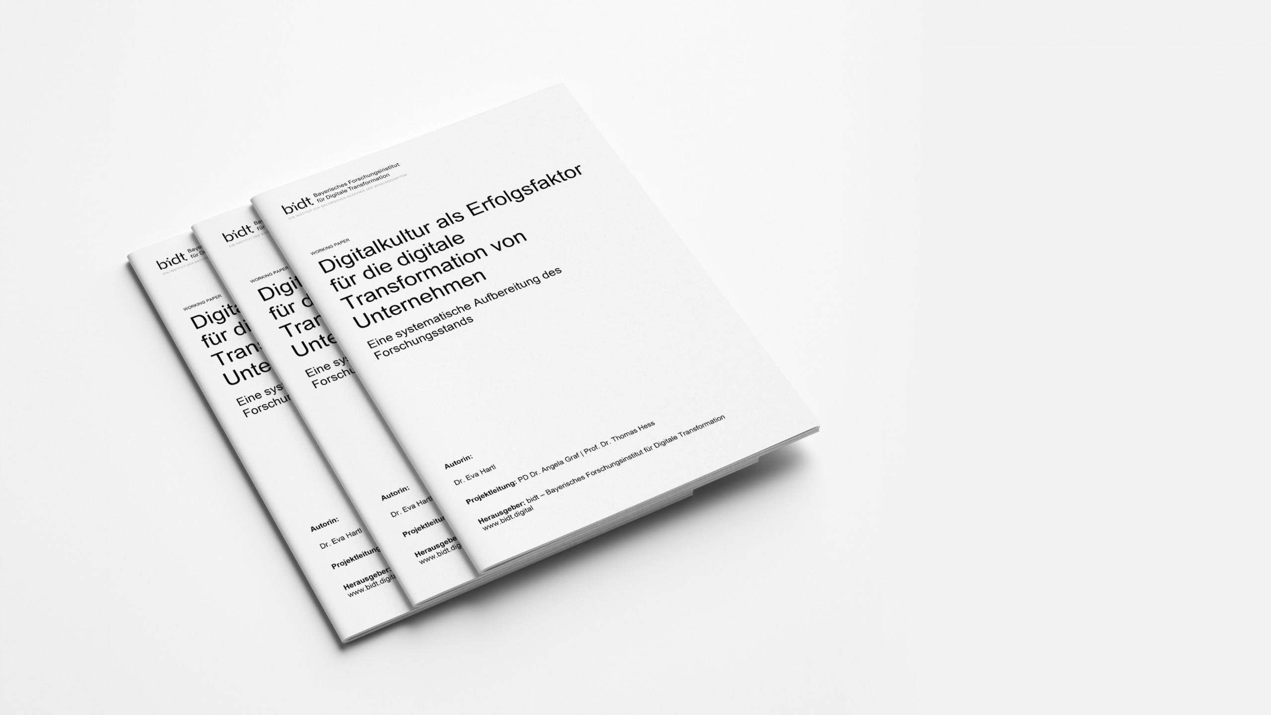 Digitalkultur als Erfolgsfaktor für die digitale Transformation von Unternehmen | bidt