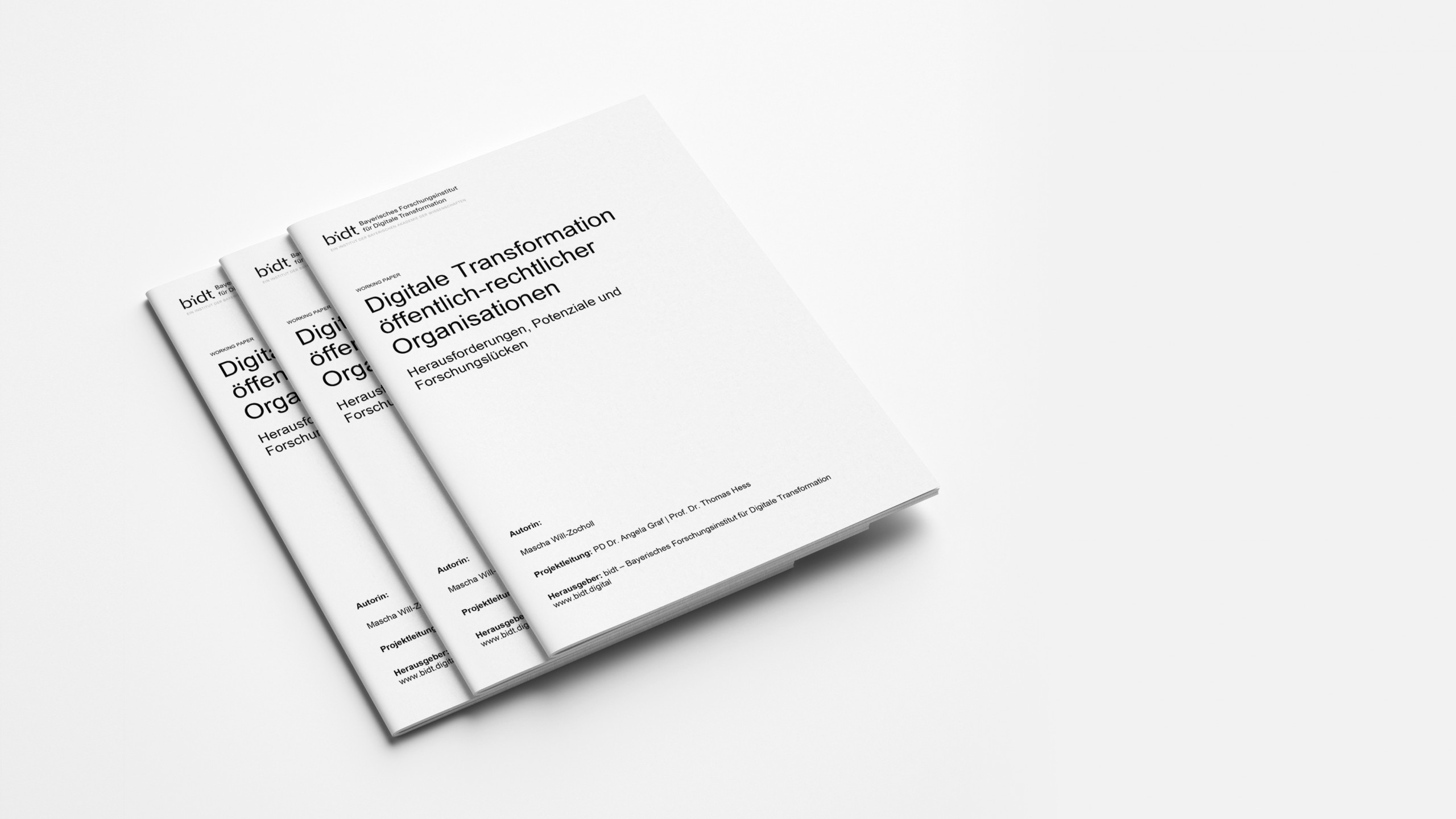 Digitale Transformation öffentlich-rechtlicher Organisationen | bidt